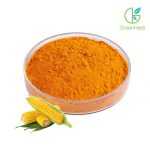 Zeaxanthin Powder close-up texture detail