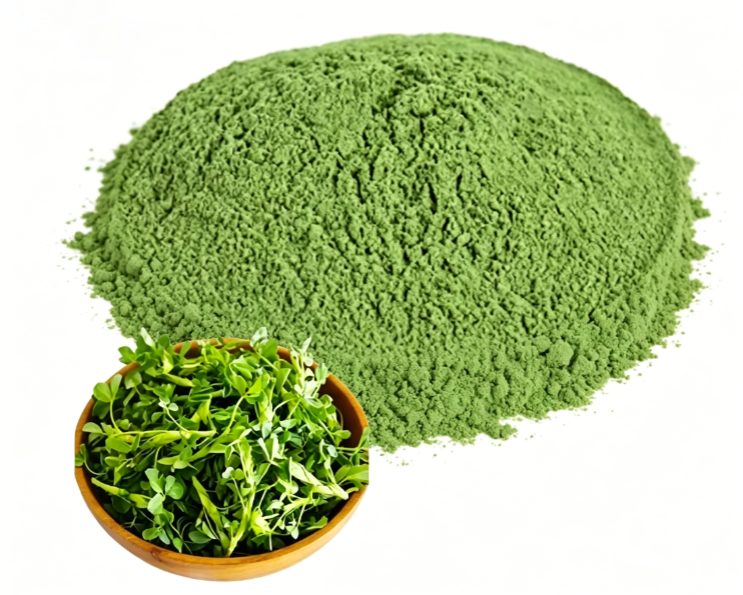 Fine milled Alfalfa Grass Powder texture detail
