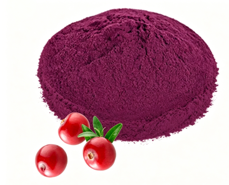 Fine milled Cranberry Juice Powder texture detail