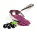 elderberry extract powder close up natural light