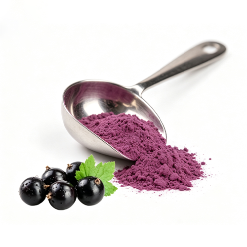 elderberry extract powder close up natural light