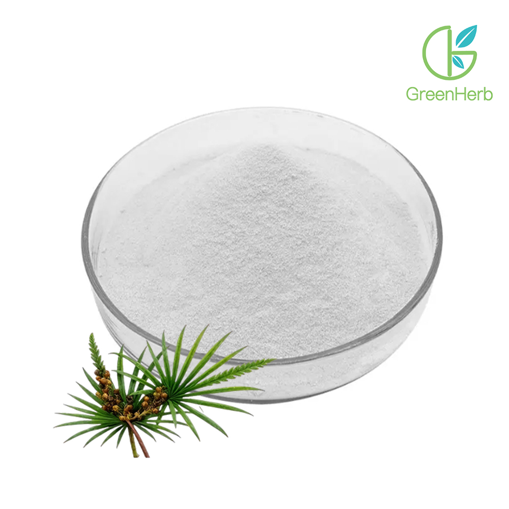 Saw Palmetto Extract close-up view Saw Palmetto Extract close-up view