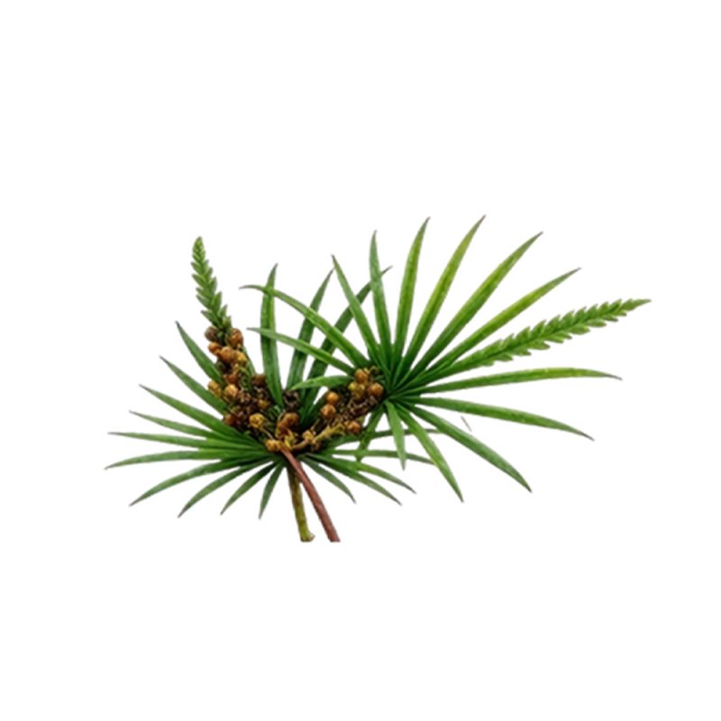 Dark brown Saw Palmetto Extract powder texture detail