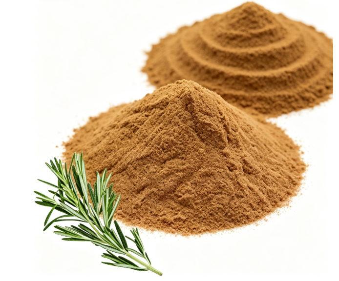 Rosemary Leaf Extract close-up texture detail