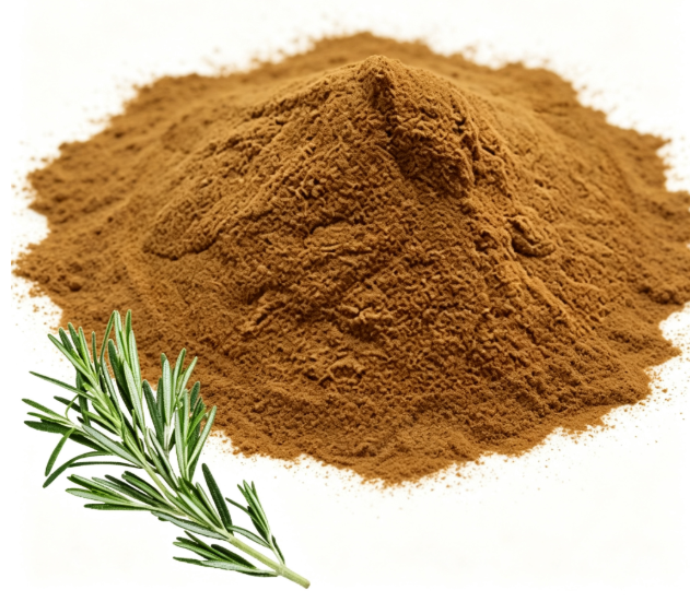 Light yellow Rosemary Leaf Extract fine powder detail