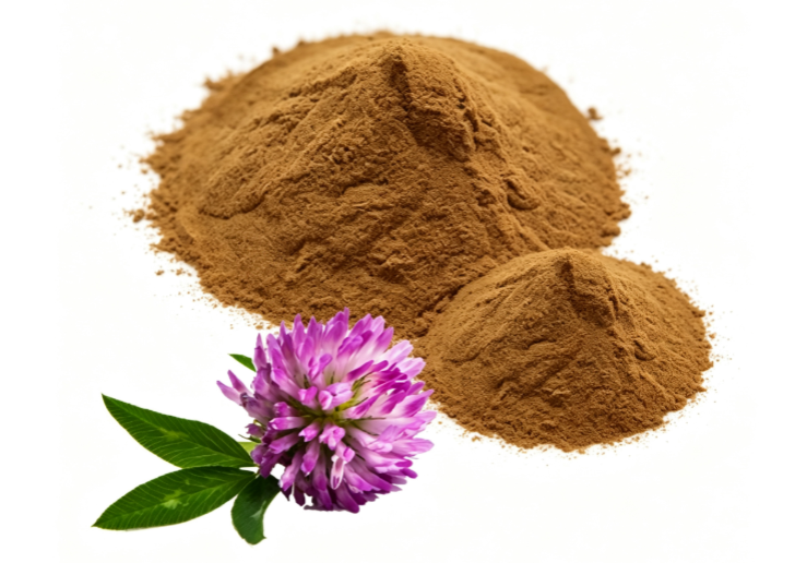 Red Clover Extract close-up texture detail