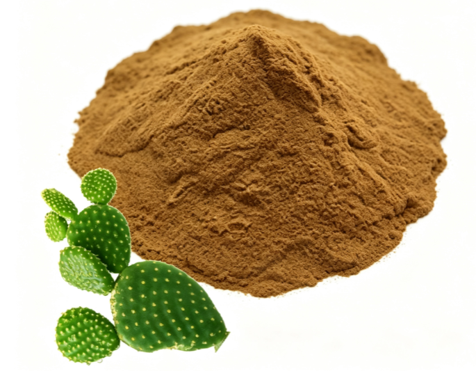 Deep red Prickly Pear Cactus Extract fine powder detail